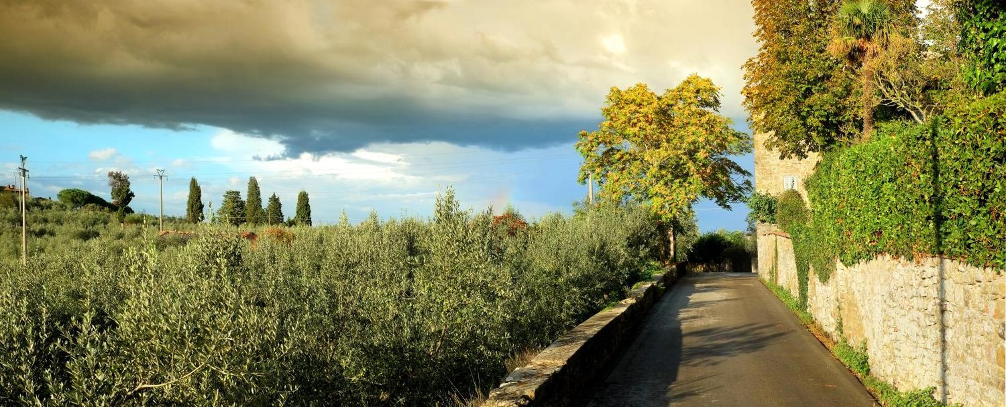 Fondaco Del Moro Bed & Breakfast Civitella in Val di Chiana Luaran gambar